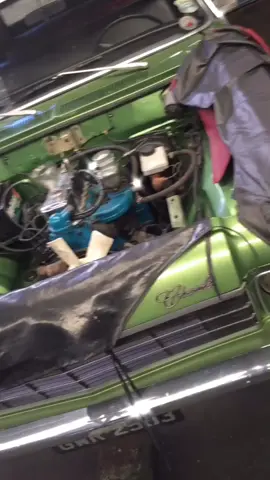 #opalas #tiktokbrasil #car #mechanical #oil #carservicing #carrosantigos