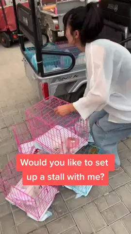 #pets #pet #dogs #dog Would you like to set up a stall with me?