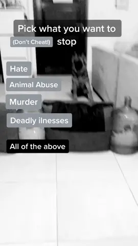 What one did you stop? #fyp #trending #like #follow #shareothercancle #virak #fypforyoupageシtiktokchallenge #stopthehate #stopanimalcruelty #trend