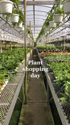 A day in the job #maincharacter #myaesthetic #plants #plantnursery #shopping #SmallBusiness
