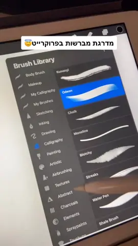 #procreate מדרגת מברשות בפרוקרייט🤪