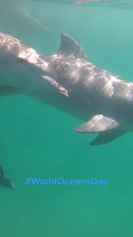 Today, #WorldOceansDay we honor our favorite place to be. 🌎💧@pachalight  #wsl #surfing #fyp #foryou #planet #ocean #surf