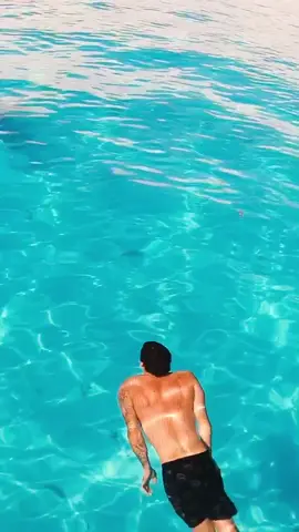 didn’t know tiger sharks be living in swimming pools now
