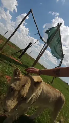 Hey you 🐾