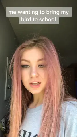 #greenscreenvideo #greenscreen #fyp #foryou #pets #viral