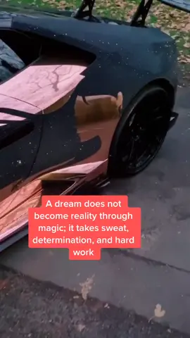 #dreams #lambopalmbeach #lamborghini #motivation C- @thetfjj