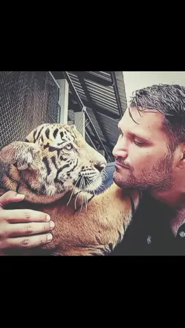 thanks guys 280.000 thank you i feel so sexy ahahahababgagag #friends #tiger #talktoanimals #animals #zoo #tiktok