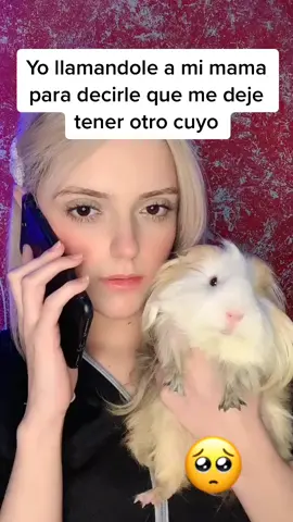 Rataponcio quiere una noviaa mamii🥺 #fyp #foryou #parati