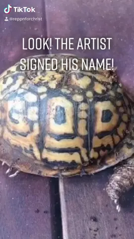 GOD SIGNED HIS NAME! #reppnforchrist #art #artist #skills #foryou #fyp #reptile