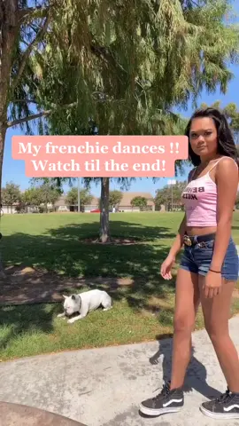 Comment a song you want him to dance too! #friends #dancechallenge #frenchiesoftiktok #dogsoftiktok