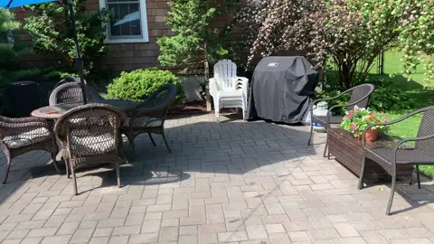 #zoomies #goodmorning #catchmeifyoucan #fyp #foryoupage #follow #gsp #germanshorthairedpointer