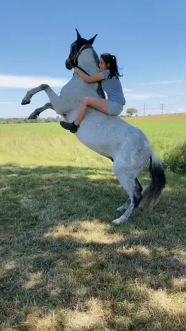 Wenn das Pferd einen guten Tag hat😂#horse #pferd #crazy #funny #funnyvideos #witzig #steigen #horserearing