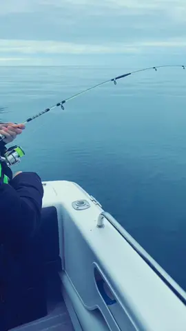 #foryoupage #foryou #fishingaustralia #shareyourplaylist #fyp #boatlife #crystalwater #fishy #fishingdaughter