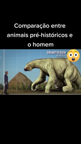 O Bicho-preguiça continua fofinho pra você? #ciencia #prehistoric #curiosidades #historia #fyp #fypシ