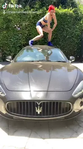 @theamandapandashow #PetStory #psdtiktok