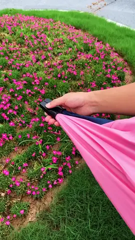 #umbrella