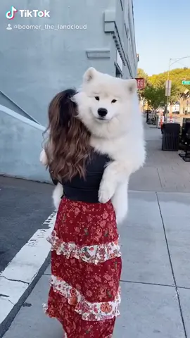 Reposting our most popular tiktok ❤️ #dog #mybaby #CurlsCheck #WhatIdWear