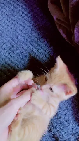 I'ma be upset if this dumb video goes viral🙃