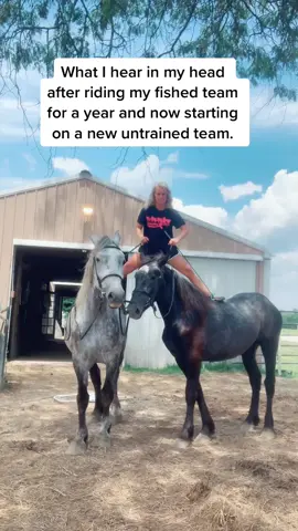 It is NOT fun nor EASY to train a new Roman riding team. It takes awhile for everyone to look good.