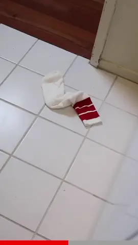 Mystery solved...  #funny #memes #meme #fyp #funnyvideos #lol #foryoupage