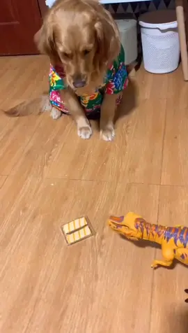 #dog #foryou #fyp #interesting #food