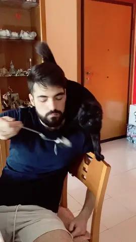 Eeee falla fenita!!😂 #catsoftiktok #gattiditiktok #tiktokitaliacomedy #foryou #foryoupage #viral