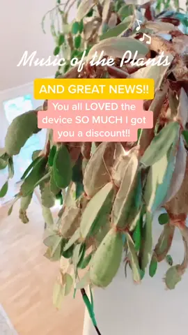 Discount 🌿🥳#cactus#supportsmallbiz#music#howto#plantlover#gardening101#ceoofplants#plants#houseplant#tiktokrestarea#obsessedwithit#affiliate#plant