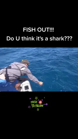 That was close,fish out finally! So pity.#Summer2020 #sea #fish #fishing #foryoupage #shark #Outdoors #man