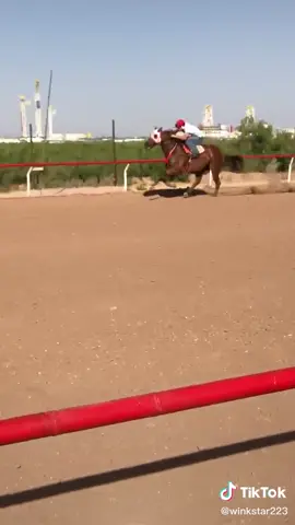 calando el cuaco no lo relojen