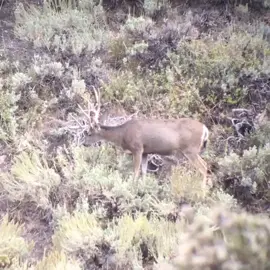 Is it hunting season yet!? #foryou #fyp #forhunters