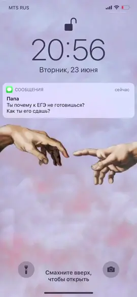 🗿🗿🗿