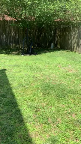 #summer2020 #fyp #foryoupage #makemefamous #makesomeonesmile #pitbull #dog #dogs #dogsoftiktok #kanan #viral #trending #pet #pets