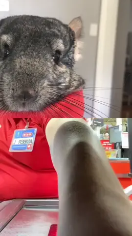 #duet with @amberylee77 Who would shop with Henry?? 😂 #SummerLooks #howto #PetsOfTikTok #petstory #petlife #trending #viral #fyp #foryou #tiktok