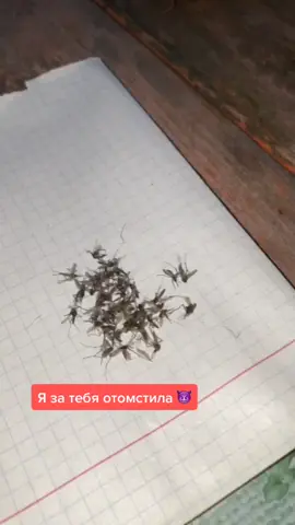 Моя супер-способность 🤜🦟 Техника: укус кобры 😂 Комар не пройдёт 🛑 #комары #дача #отдых #природа