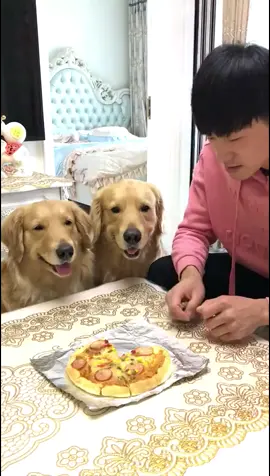 #pet #foryou #tiktok Can you wait for me to eat a little before I grab it😭