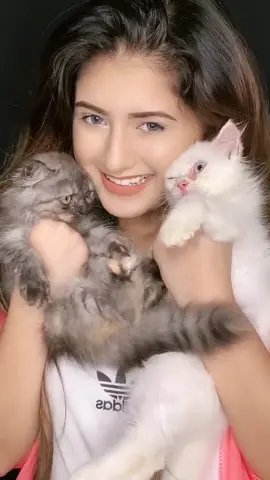 New family members! Halima and hoor💕🌍 Follow @lifeofakpets Babies ka account bhi hai🌟 #arishfakhan #hidekarke #newfamilymembers #animallover