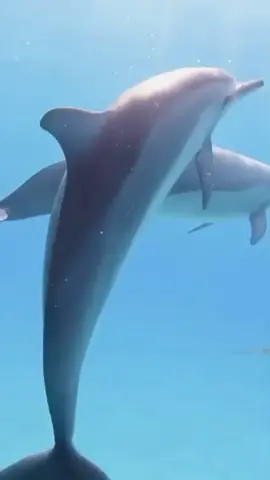 Hawaii 📍 #travelbucketlist #traveldiaries