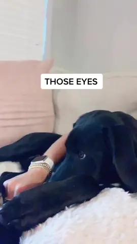 This challenge was harder for me than it was for him #dogsoftiktok #SNOOZZZAPALOOZA #PhotoStory #fyp #foryou #foryoupage #puppy