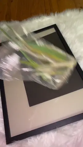 Bird owners do this if you collect your birdies feathers 😊 #foryoupage #4u #birdfeathers #DIY