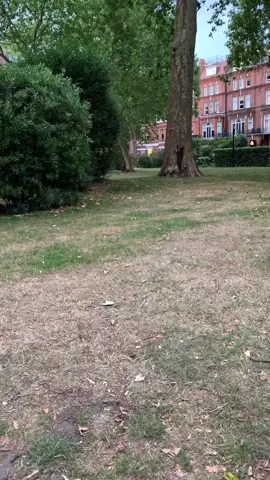 We went from 31* to wind and glumly sky’s this is England.