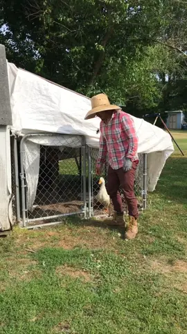 Cuando dejas salir el torazo del Rancho el durazno 🍑