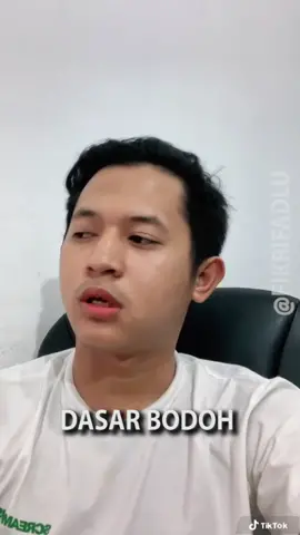 Dasar bodoh