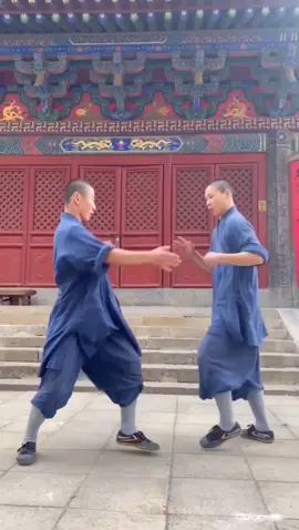 Sometimes they feel happy in training. #kungfu #sports #shaolin #shaolinkungfu #fyp #foryoupage #tiktok