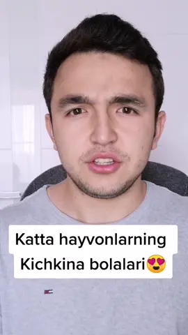 Sizga qaysi biri yoqdi? 😁KOMMENTGA yozinglar 😉#uzbekiston #uzbek #tiktokuz