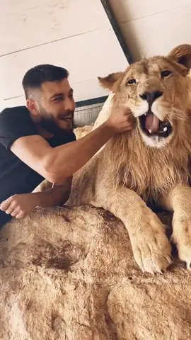 نوتيلا 😛 حطو @ هي و عملو منشن لاحلى كوبل عندك ♥️ #Love #lion #fyp #foryoupage