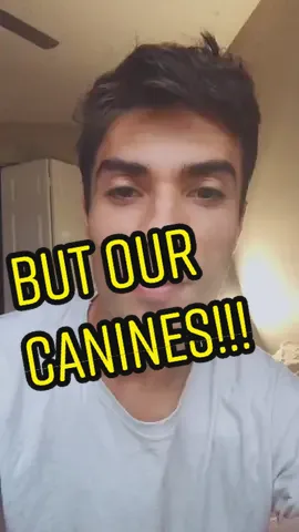 We ain’t no lions. Not even wolves.  Vastly different. #vegan #plantbased