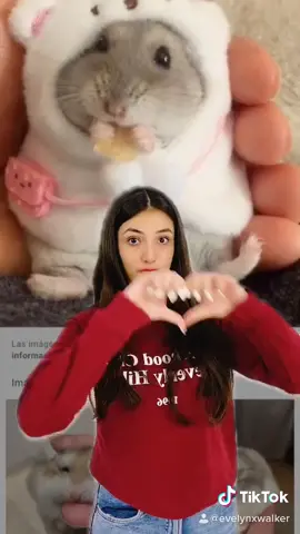 Dale al ❤️ si te gustarían más videos así 😊 IG: Evelynxzg