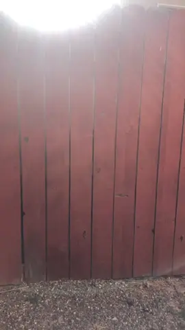 #llamas#toxica #extorcion #fypchallenge