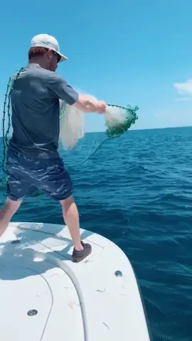 Bait fish are scared of the pancakes @davisbennettt #yougotit #net #bait #castnet #pancake