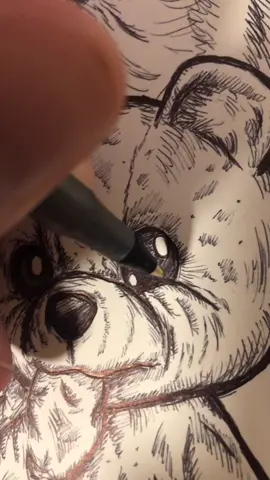 #art #drawing #illustration #RaiseYourVoice #asmr #dadjokes #mrtacostacos #artjournal #drawingtutorial #ink #penandpaper #furry #anime